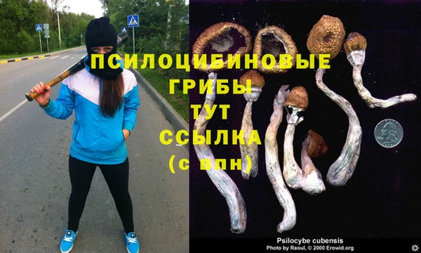 амф Алзамай