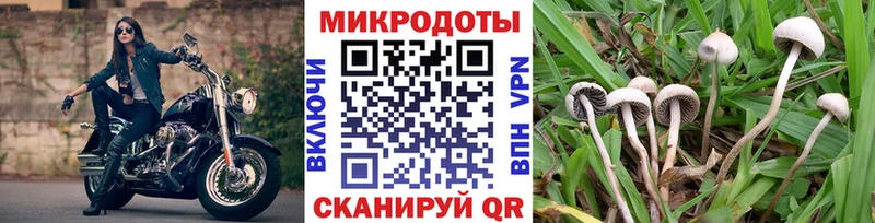 Псилоцибиновые грибы ЛСД  ссылка на мегу зеркало  Алушта 