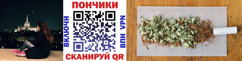 Бошки марихуана VHQ  продажа наркотиков  Алушта 